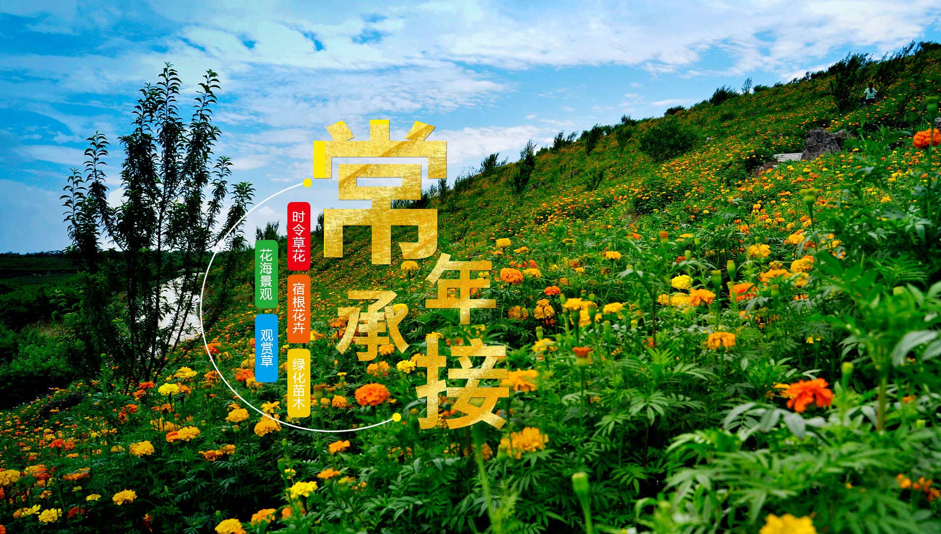 青州市奥景园林绿化有限公司